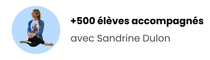 plus de 500 élévès accompagnés