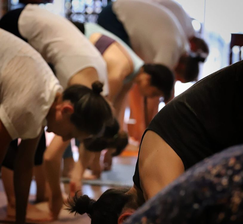 plusieur persones entrain de pratique le type de yoga ashtangha vinyasa yoga